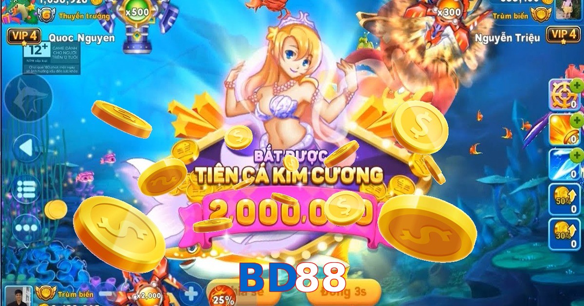 BD88